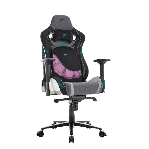 TTRacing Gaming Chair