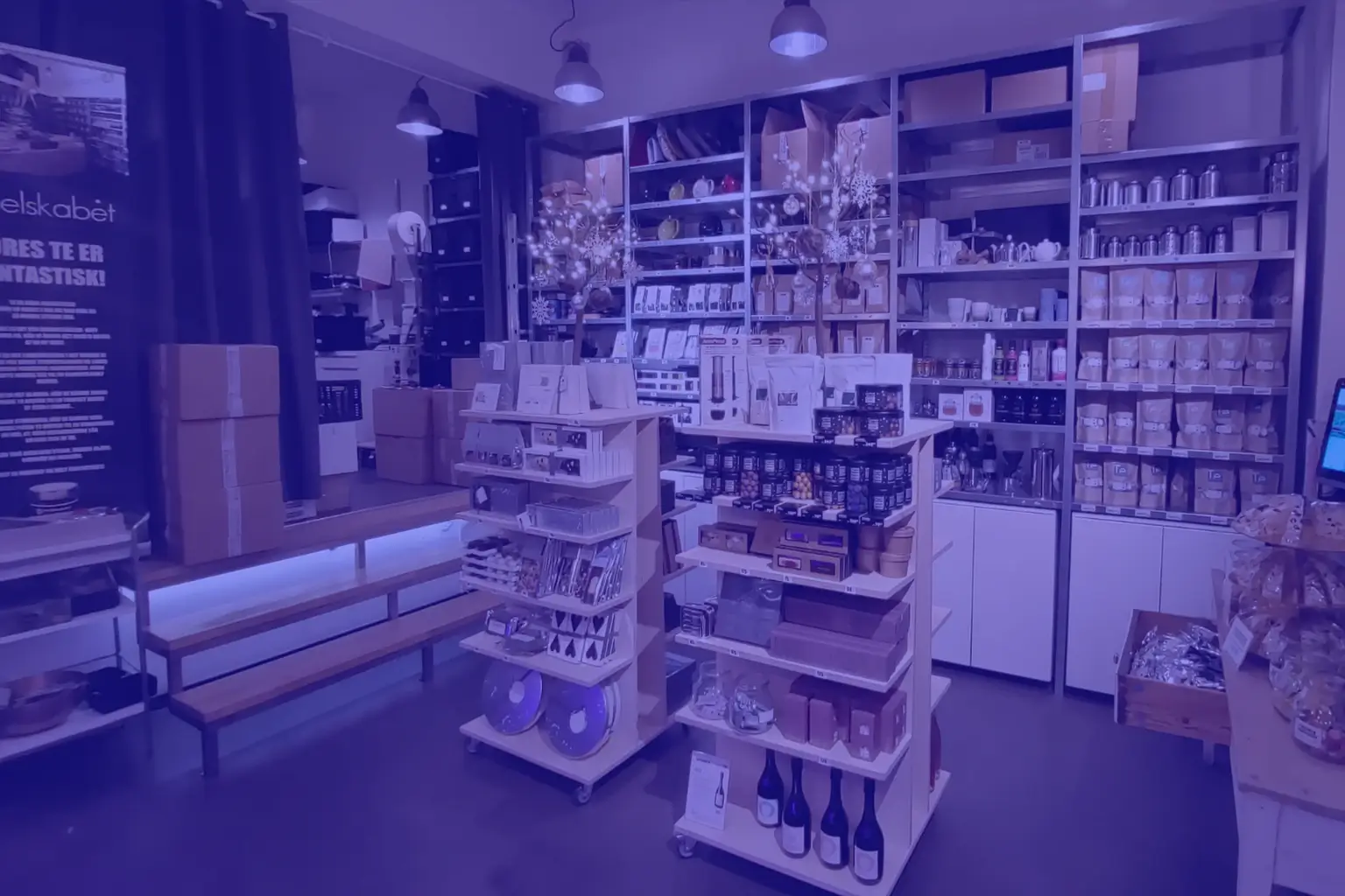 affordable web design for small businesses | Jacob Almogela